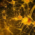 The brain on the edge of chaos. What keeps our vision under control?