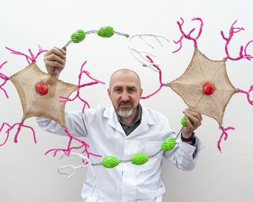 Neurony osoby zdrowej tworzą unikalną sieć połączeń, która w wyniku choroby Alzheimera ulega nieodwracalnemu zniszczeniu prowadząc do splątania chorego. Źródło: IChF PAN, fot: Grzegorz Krzyżewski