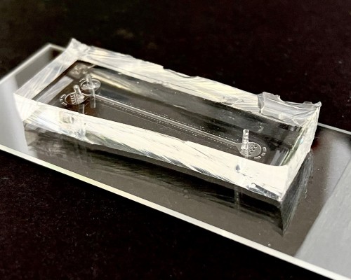 Microfluidic chip used to grow bacterial biofilms. Photo copyright: Karol Karnowski