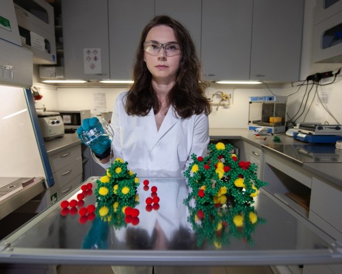 Scientists from the Institute of Physical Chemistry of the Polish Academy of Sciences have developed an innovative porous material for environmental protection. Changing the solvent and temperature allows for reversible modification of the metal clusters-based structure, enabling efficient separation of various gases. Photo courtesy: Grzegorz Krzyzewski