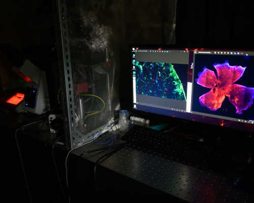 Photos by Karol Karnowski and Mateusz Woliński, ICTER