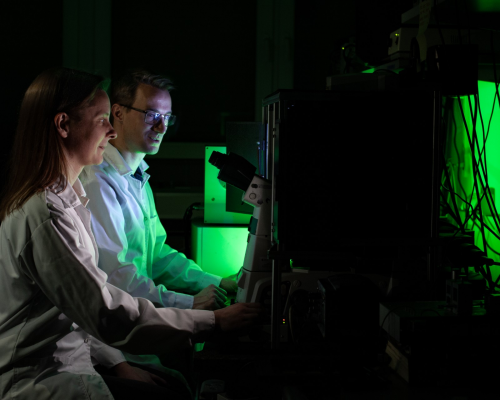 How to enhance the development of new drugs while reducing reliance on animal testing? One possible answer is the engineering of microvascular networks from human cells, whose growth can be precisely controlled using magnetic field. The recent work by scientists from IPC PAS shows how this can be achieved. Photo courtesy: Grzegorz Krzyzewski