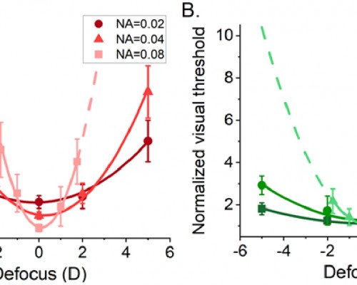 Comparison of visual thresholds for infrared and visible light at different laser beam focus settings. The results show that two-photon vision is highly sensitive to precise light focusing on the retina /Photo: Optica Publishing Group