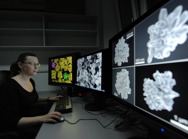 Galeria zdjęć IChF PAN - kategoria: Badania - Doktorantka Katarzyna Winkler z IChF PAN przegląda zdjęcia z mikroskopu elektronowego przedstawiające podłoża wykonane ze złotych mikrokwiatów.
