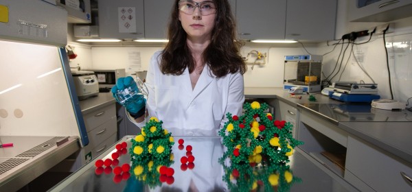 Robust and soft porous crystals with unique gas sorption properties