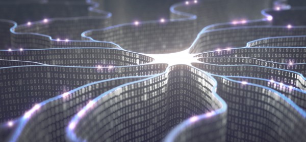 A neuron’s molecular clock. NMDA timing shapes the flow of information