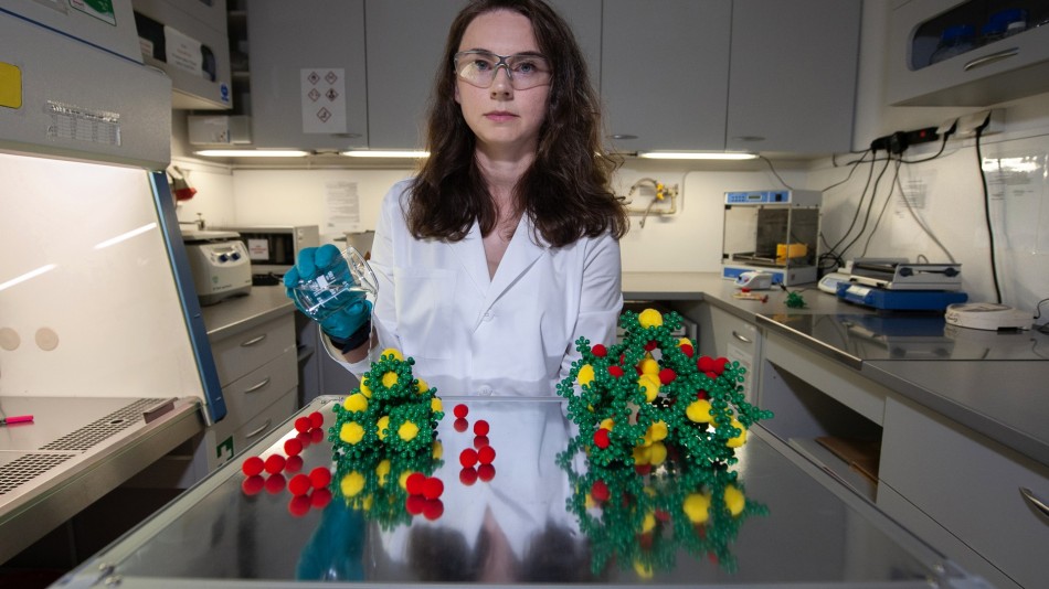Robust and soft porous crystals with unique gas sorption properties