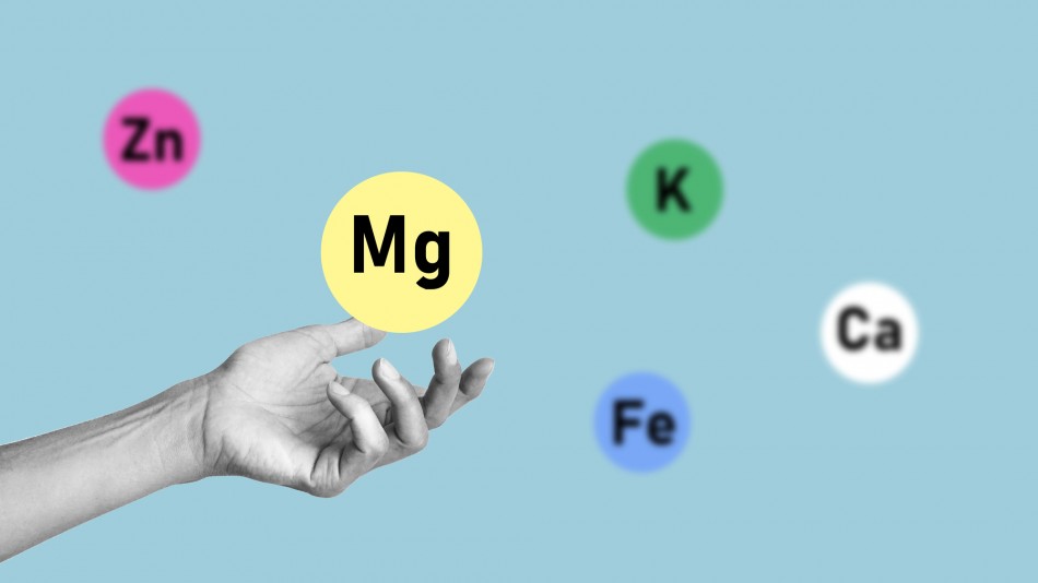 Magnesium guards vision. An ICTER model identifies a window for retinal protection